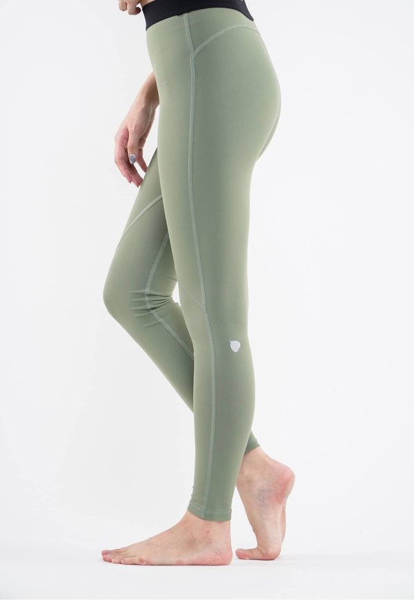 Cody Tights in Fern